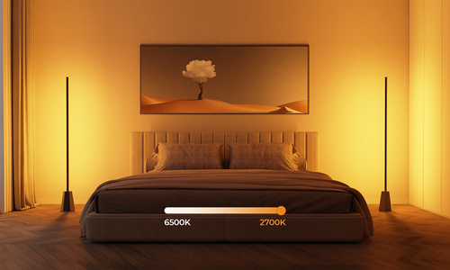 Can You Have Two Floor Lamps in One Room