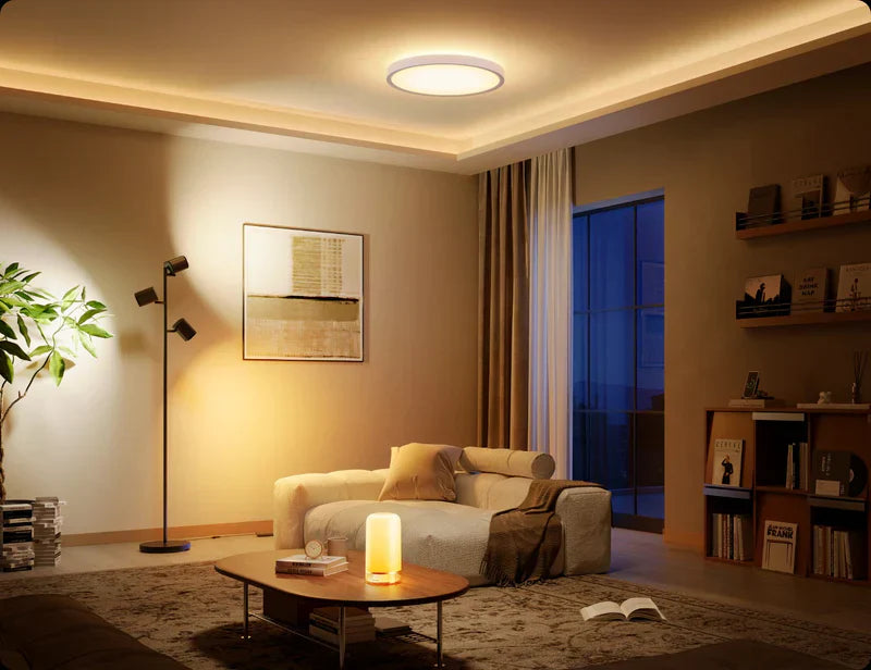 What's the Best Bias Light? A Guide to the 4 Pro Standards