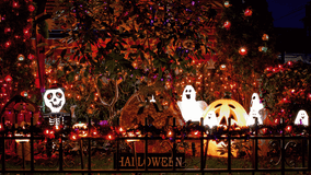 Best Time to Put Up Halloween Decorations 2025 Guide