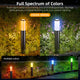 DeckTok Outdoor Pathway Lights (2-pack)