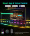 Luces de tierra para exteriores DeckTok (50 pies)