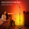 DeckTok Foldable Floor Lamp