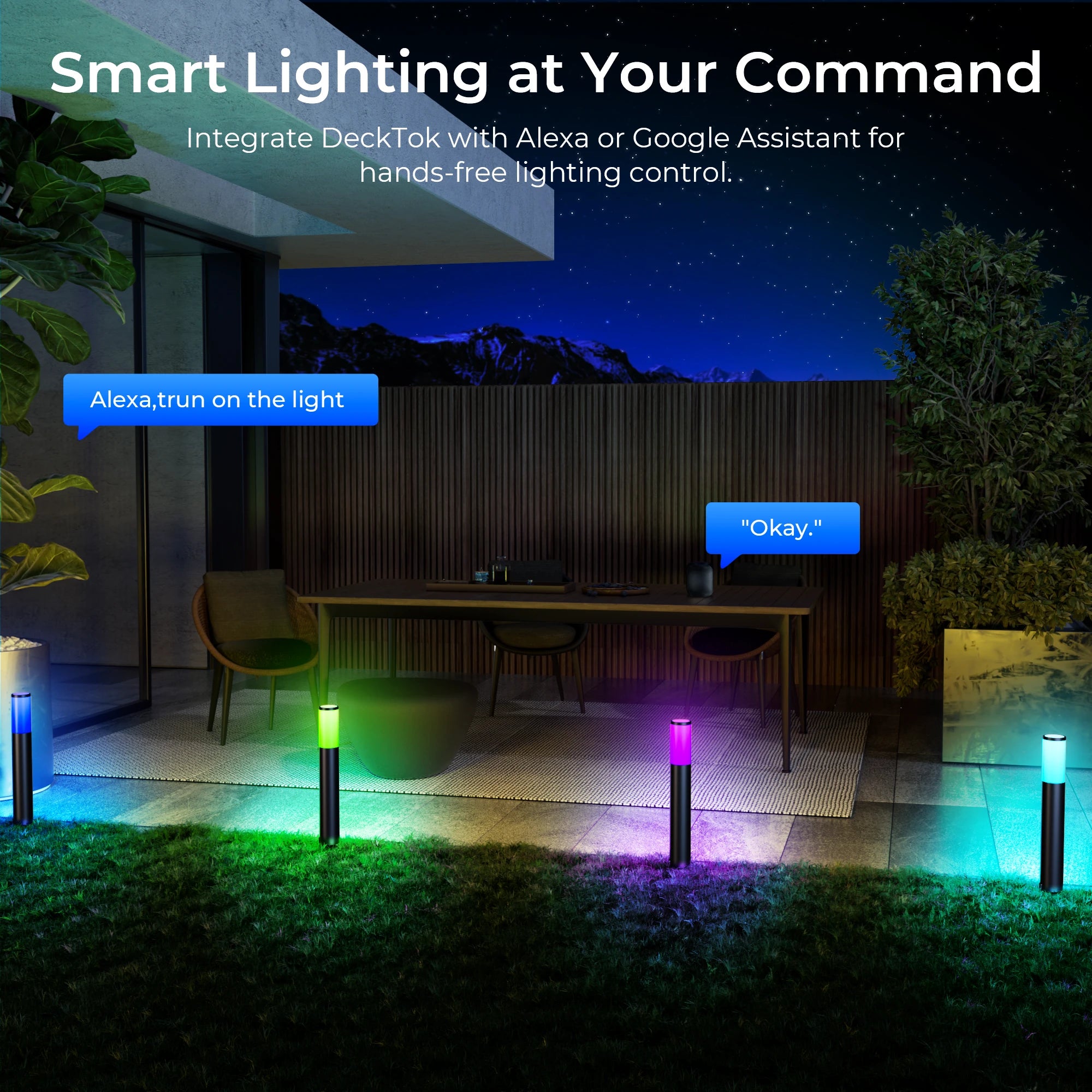 DeckTok Smart Outdoor Pathway Lights (2-pack)
