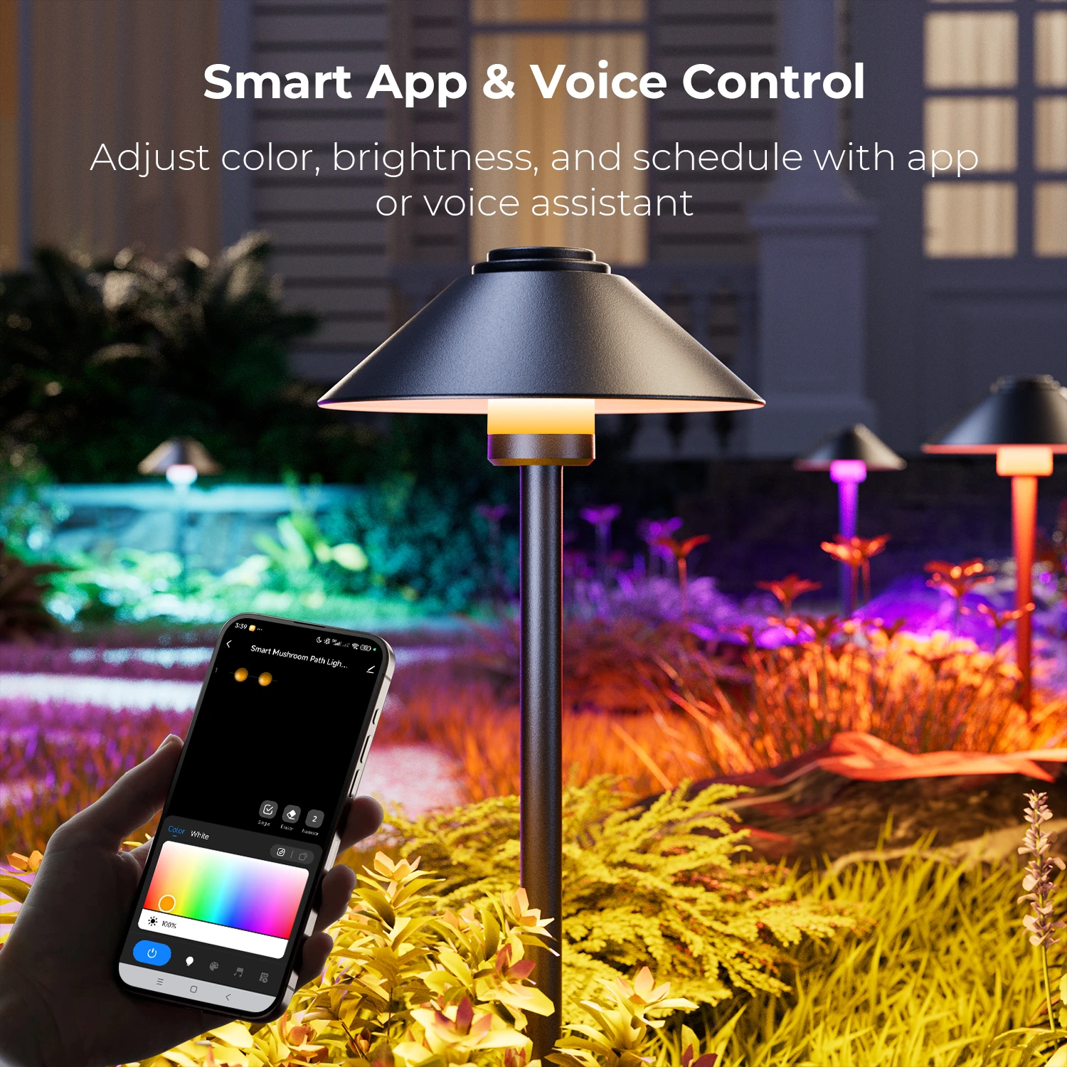 DeckTok Smart Mushroom Path Lights (2-pack)