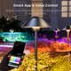 DeckTok Mushroom Path Lights (2-pack)