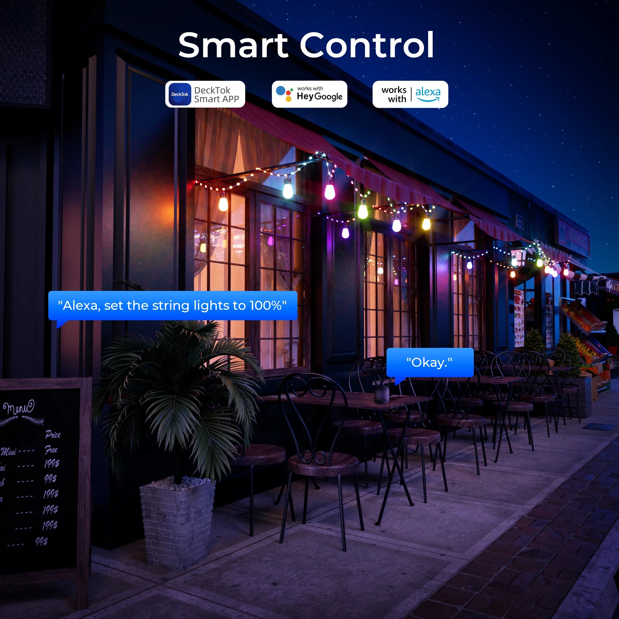 DeckTok Smart Outdoor String Lights(45FT)