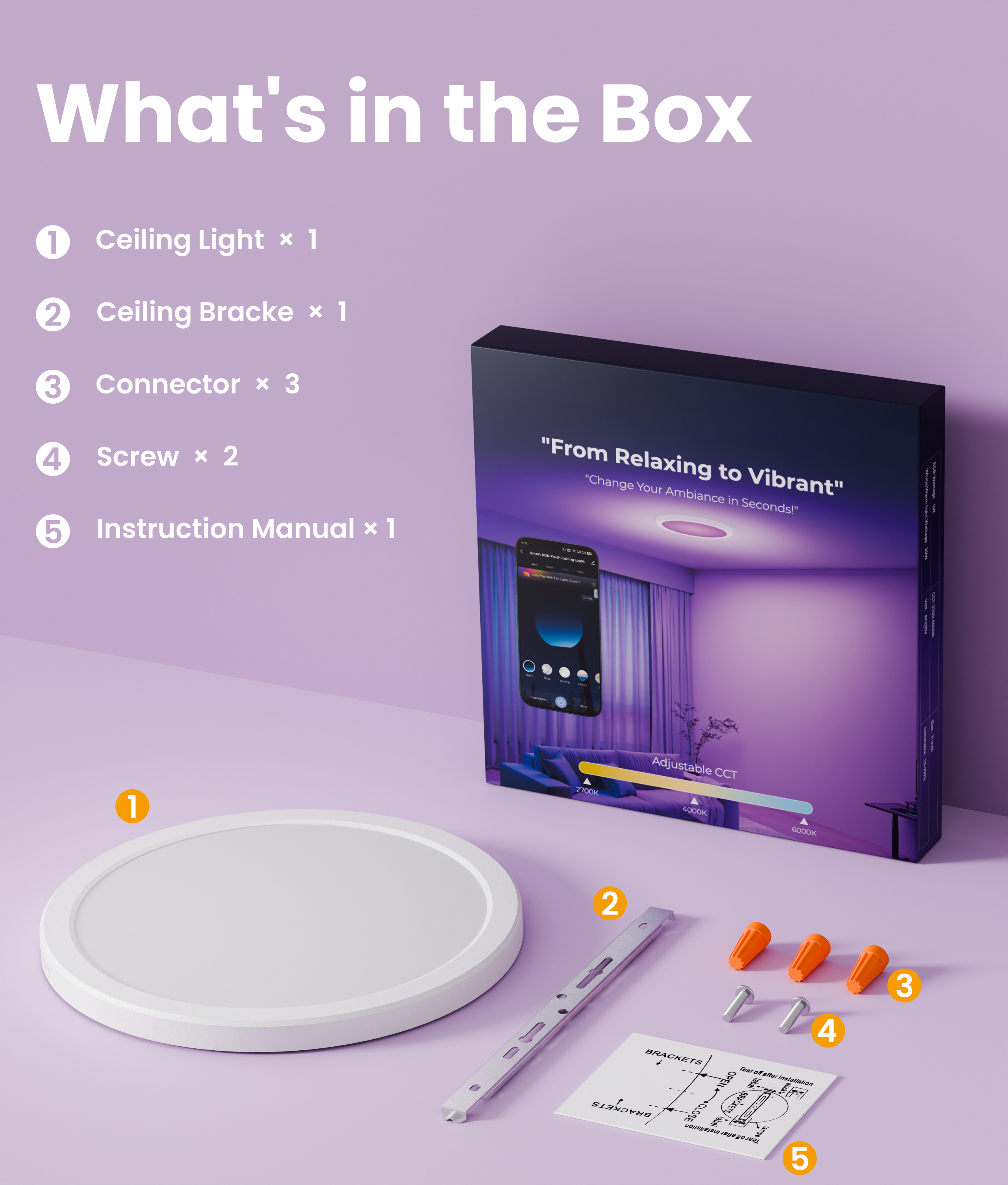 DeckTok RGBCW LED Flush Mount Ceiling Light